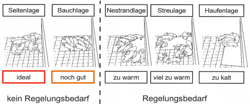 Tierwohl kann man messbar machen