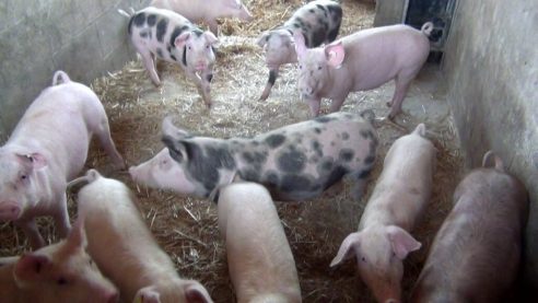 Wer gibt der Zukunft ein Zuhause?