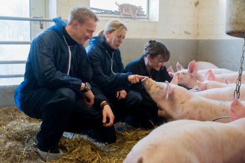 Nicht nur reden, sondern machen